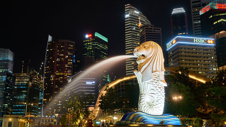 Tại Sao Mở Công ty Tại Singapore: 7 Lý Do Bạn Nên Biết
