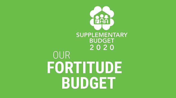 Ngân sách Fortitude Budget