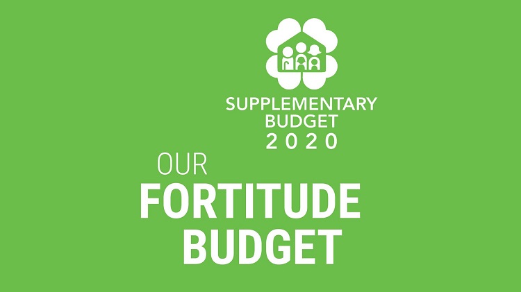 Fortitude Budget in Singapore